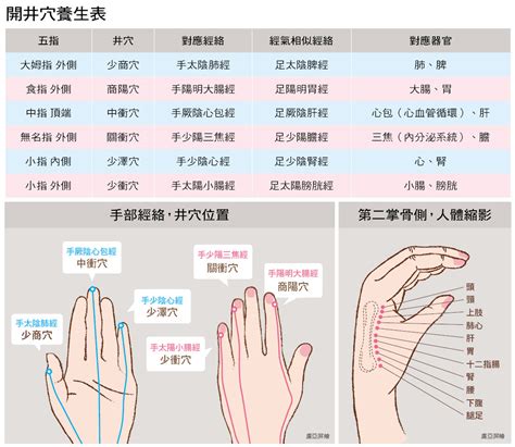 小穴是什麼